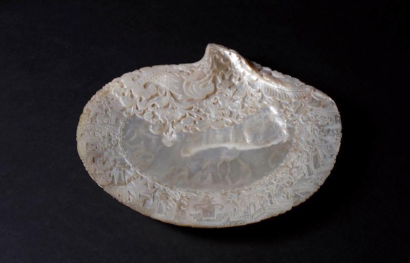 Coquillage_1