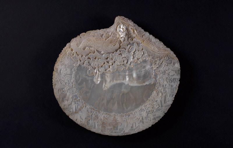 Coquillage_2