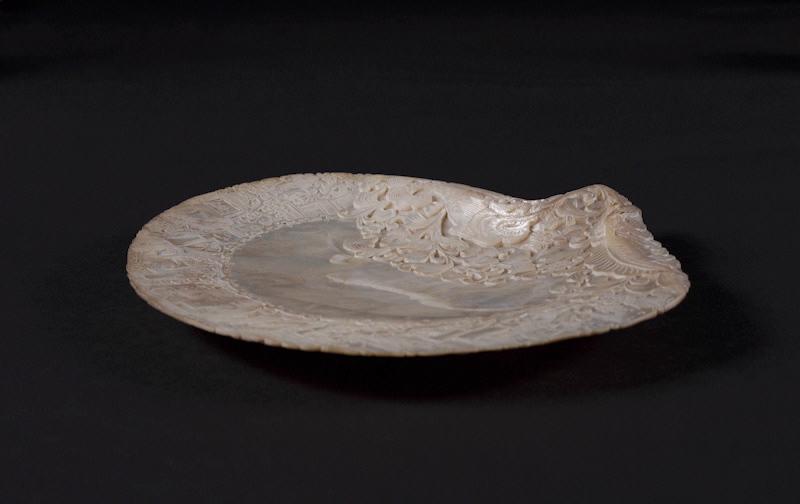 Coquillage_4