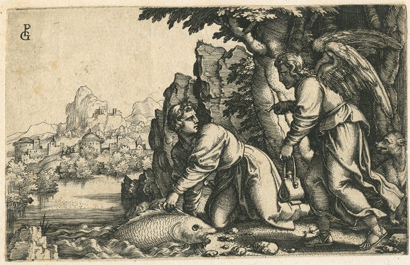 Histoire de Tobie : le jeune Tobie prend un poisson sur l'avis de l'Ange_1