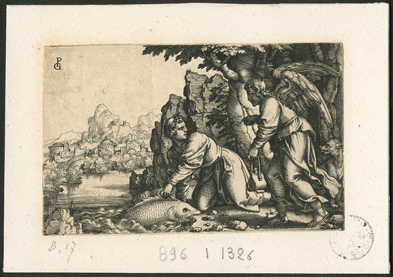 Histoire de Tobie : le jeune Tobie prend un poisson sur l'avis de l'Ange_0