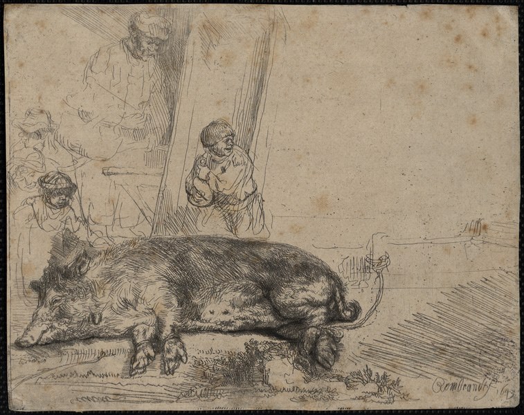 Le cochon ; La truie_0