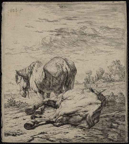 Les deux chevaux, Karel Dujardin, 17ème siècle