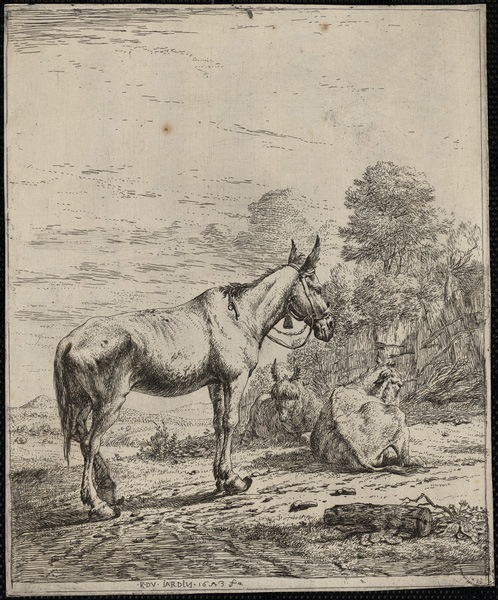 Le mulet aux clochettes, Karel Dujardin, 1653