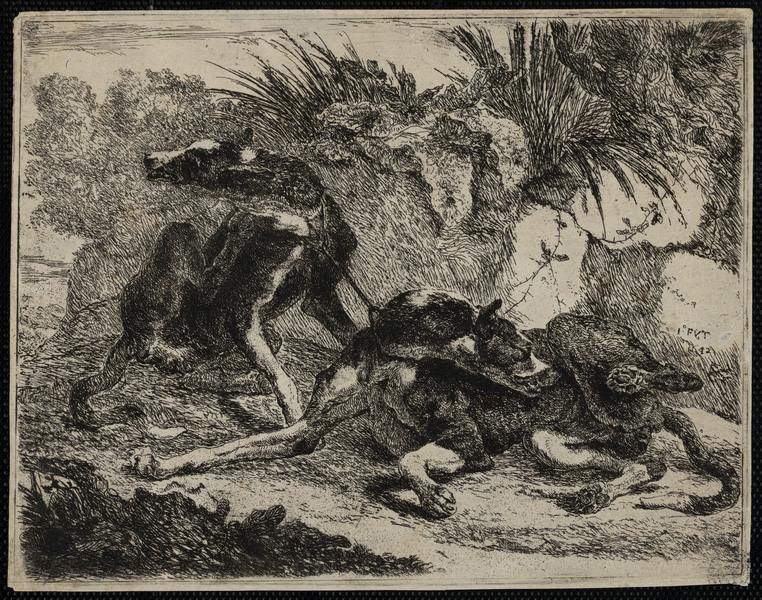 Les chiens, Jan Fyt, 1642