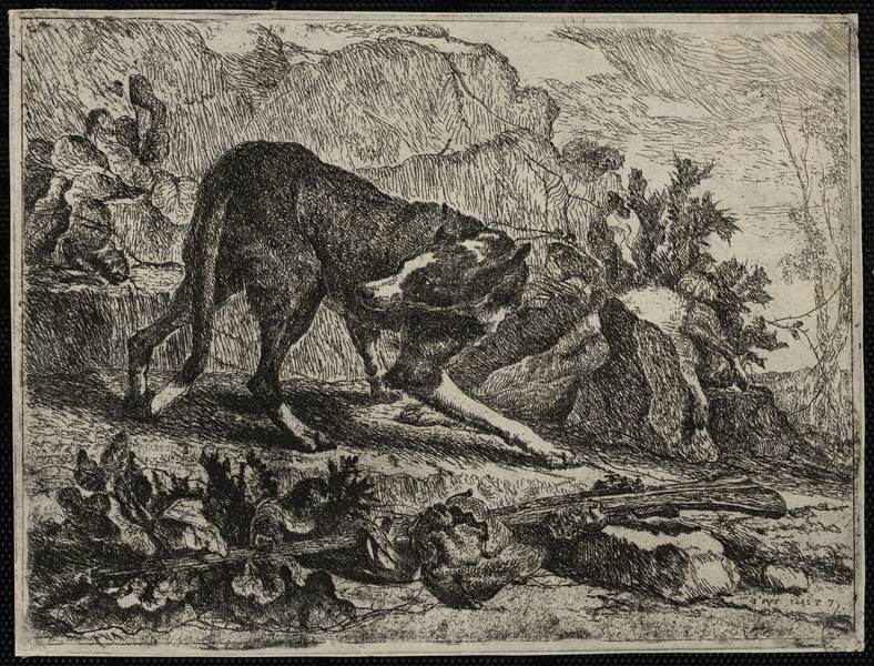 Les chiens, Jan Fyt, 1642