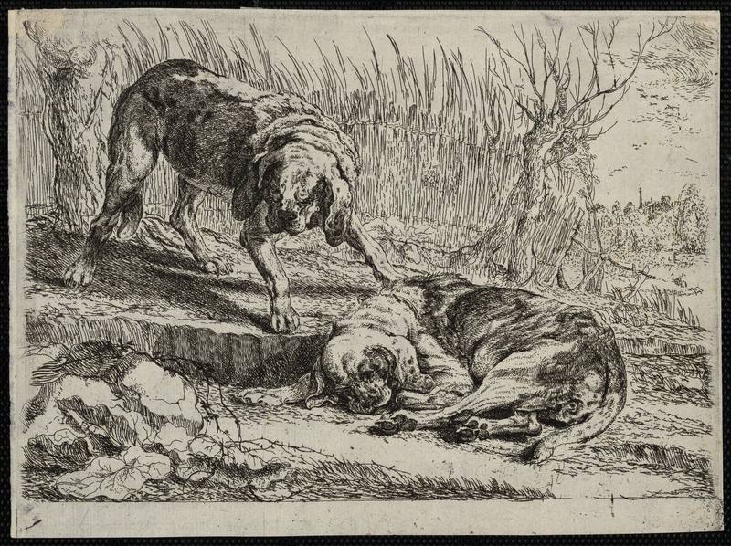 Les chiens, Jan Fyt, 1642