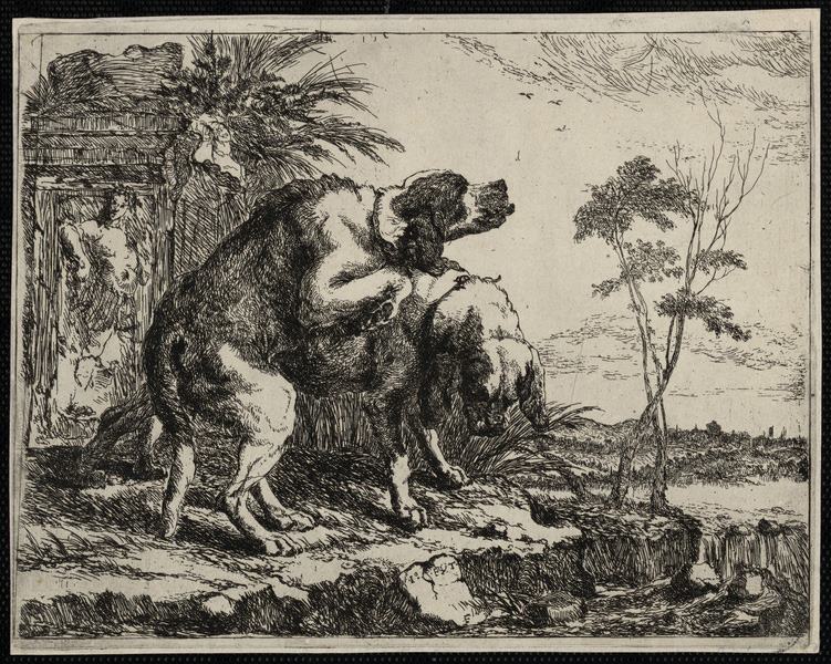 Les chiens, Jan Fyt, 1642