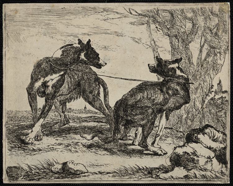 Les chiens, Jan Fyt, 1642