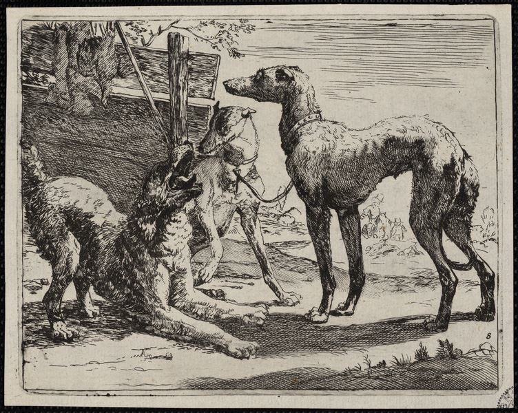 Les chiens, Jan Fyt, 1642