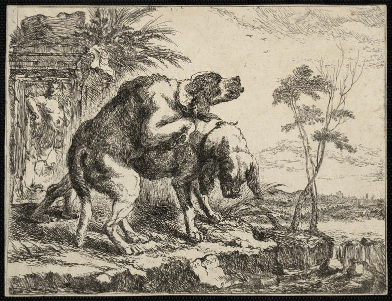 Les chiens, Jan Fyt, 1642