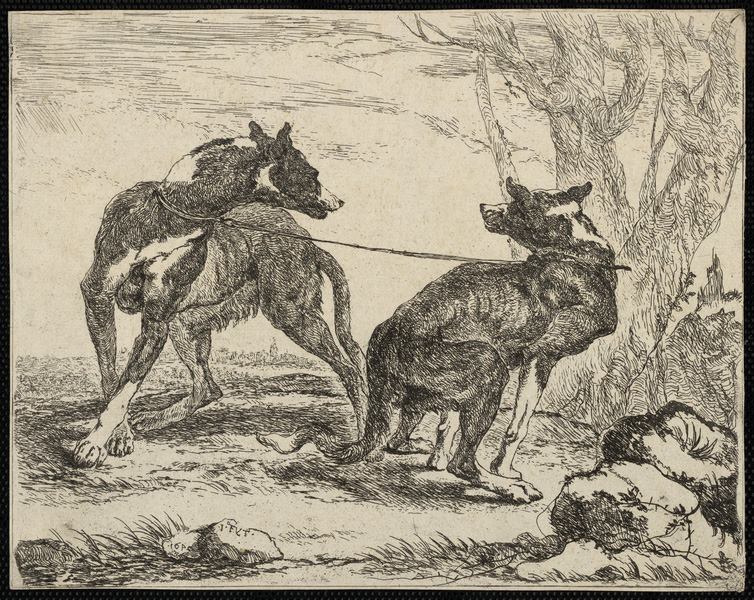 Les chiens, Jan Fyt, 1642