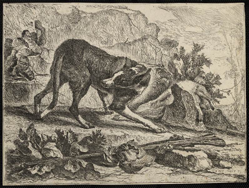 Les chiens, Jan Fyt, 1642