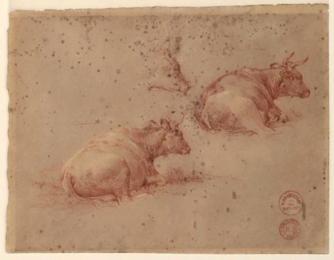 Etude de vaches, Jacques Raymond Brascassat, 19e siècle
