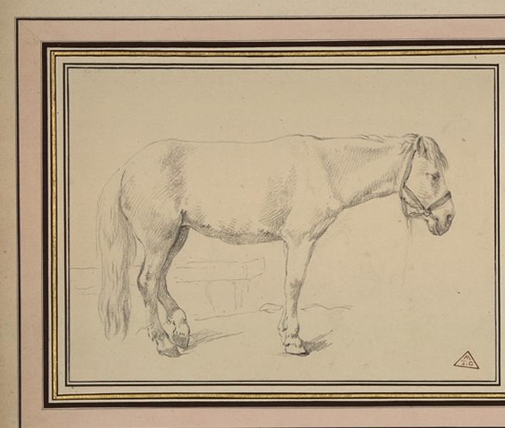 Deux chevaux de trait_0
