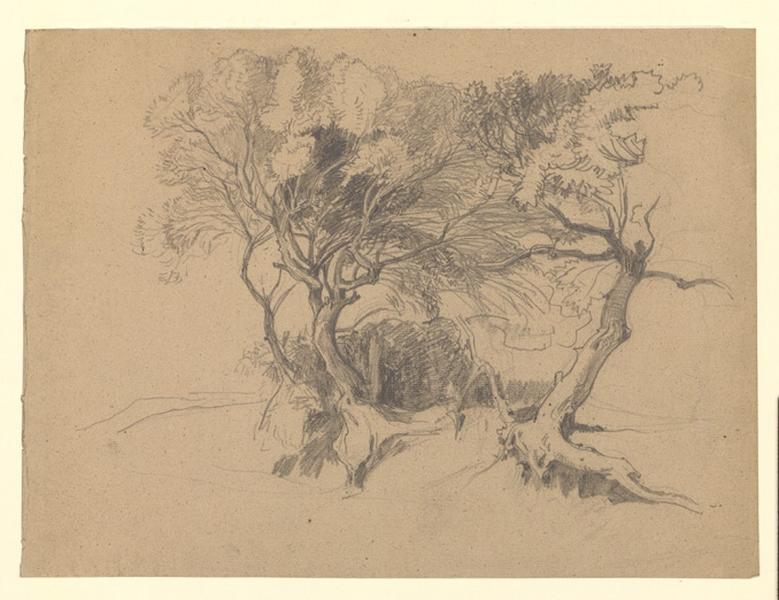 Etude d'arbres dénudés, Paul Célestin Louis Nanteuil-Leboeuf, 3e quart 19e siècle