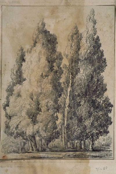 Les cyprès de la villa d'Este à Tivoli ; Paysage - Ruines d'Italie ; Allée avec de grands arbres_1