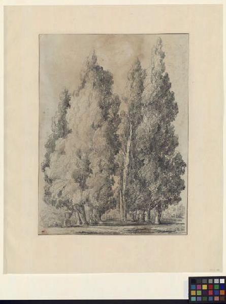 Les cyprès de la villa d'Este à Tivoli ; Paysage - Ruines d'Italie ; Allée avec de grands arbres_0
