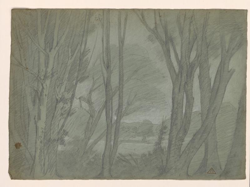 Etude d'arbres, Eugène Brunclair, 19e siècle