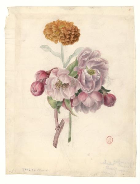 Pivoines et soucis ; Roses et soucis, Augustine Girault, 1ère moitié 19e siècle