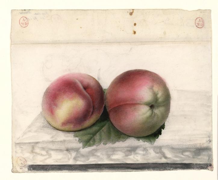 Deux pêches, Augustine Girault, 1ère moitié 19e siècle