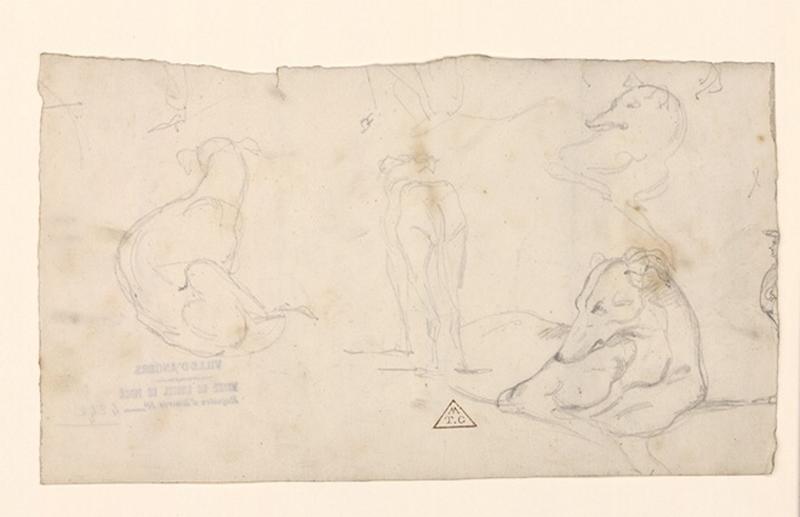 Etude de lévriers (4 croquis sur une feuille .), Eugène Brunclair, 19e siècle