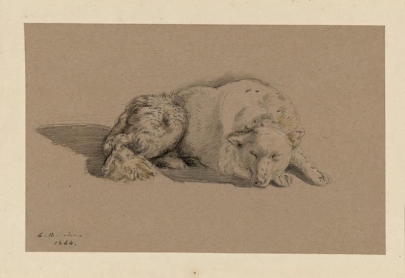 Etude de chien, Guillaume Bodinier, 1844
