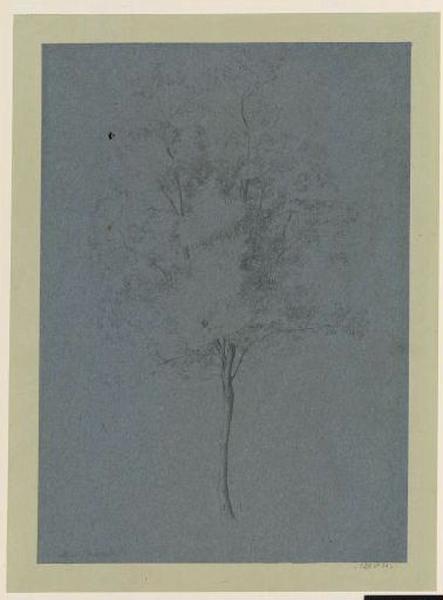 Etude d'arbre, Guillaume Bodinier, 1839 /09