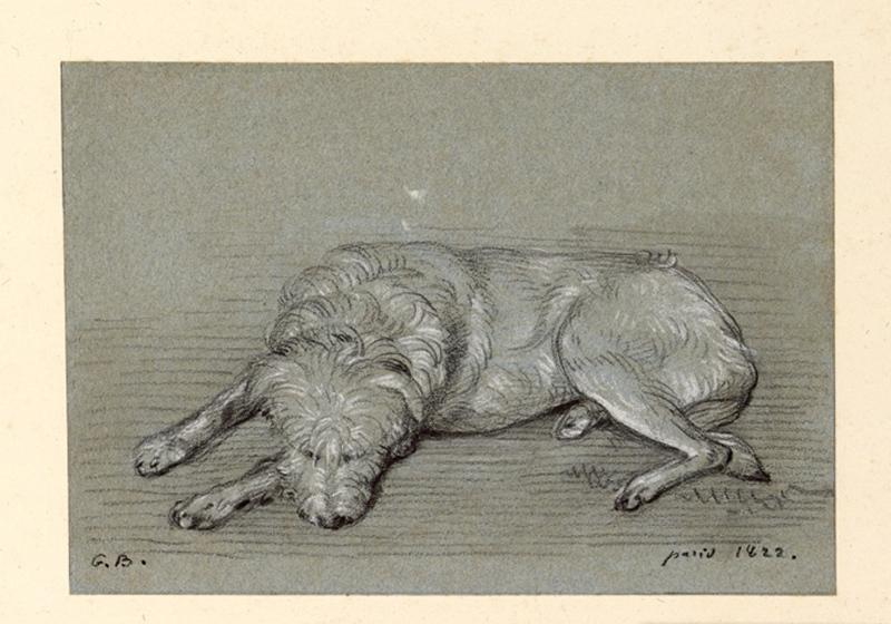 Etude de chien, Guillaume Bodinier, 1822