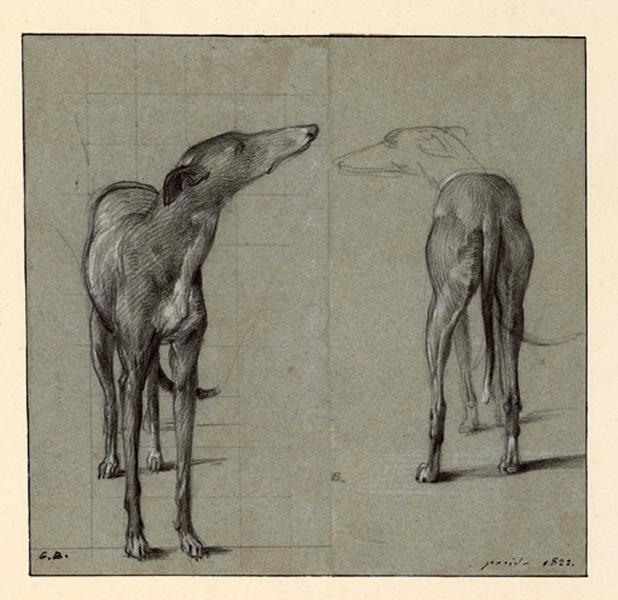 Etudes de lévriers ; Etude de chien, Guillaume Bodinier, 1822