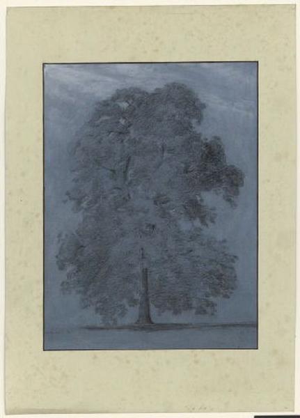 Etude d'arbre, Guillaume Bodinier, 1862 /09 /13