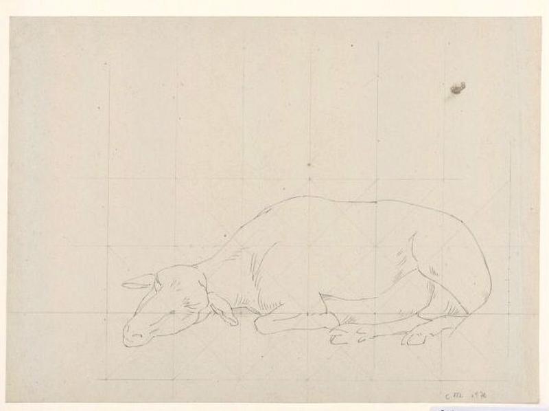 Etude de mouton, Guillaume Bodinier, 19e siècle