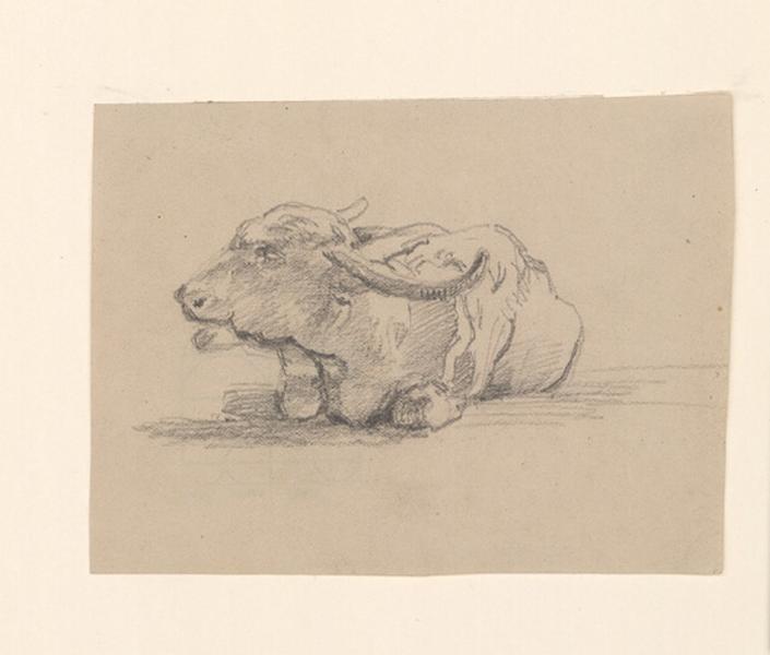 Etude de buffle, Guillaume Bodinier, 19e siècle