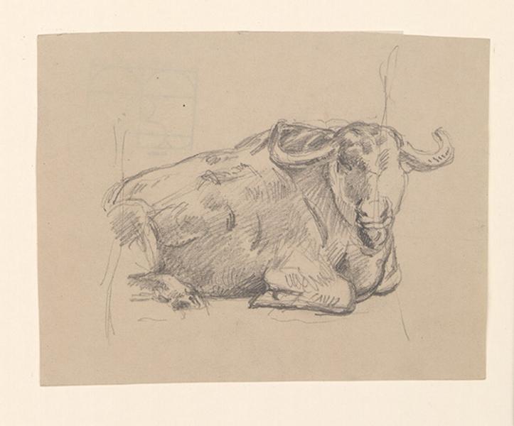 Etude de buffle, Guillaume Bodinier, 19e siècle