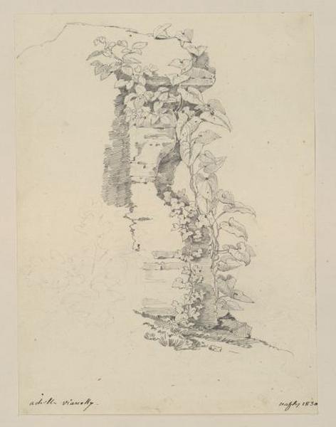 Ruines avec lierre et liseron (Naples, 1830) (Catalogue des ventes 1873) ; Au verso : étude de têtes de chevaux, femme et de cavalière ; Naples, mur couvert de feuillage (autre titre), Achille Vianelli, 1830