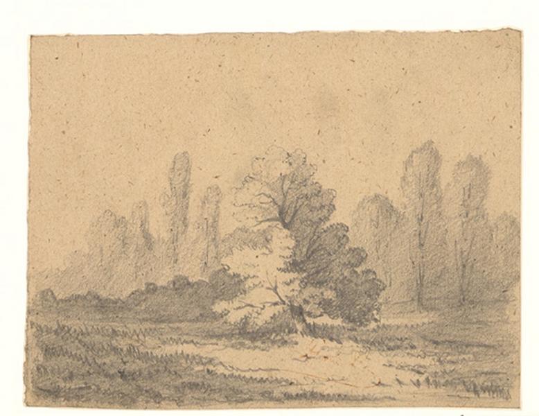 Paysage au chêne, Alexis Auguste Dumoulin-Darcy, 1852-1864