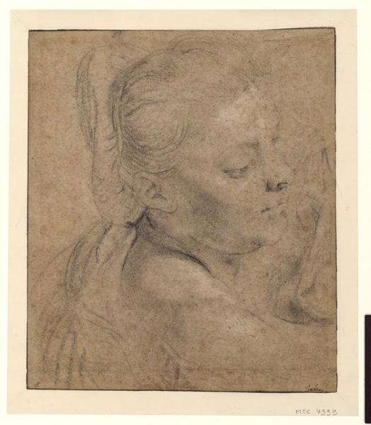 Tête de femme de profil à gauche, Petrus Paulus Rubens, 1ère moitié 17e siècle