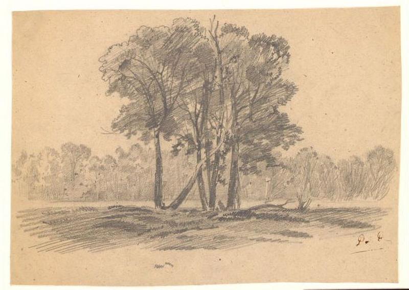 Arbres, Alexis Auguste Dumoulin-Darcy, 1852-1864