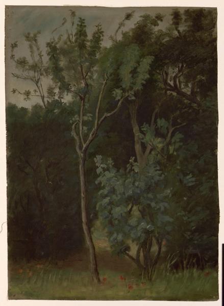 Coin de forêt, Eugène Brunclair, 2e moitié 19e siècle, 1er quart 20e siècle