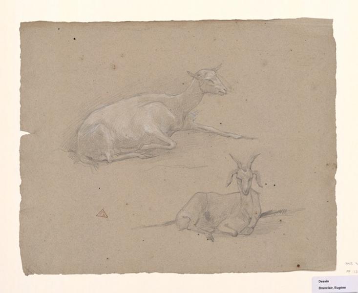 Deux chèvres, Eugène Brunclair, 1er quart 20e siècle