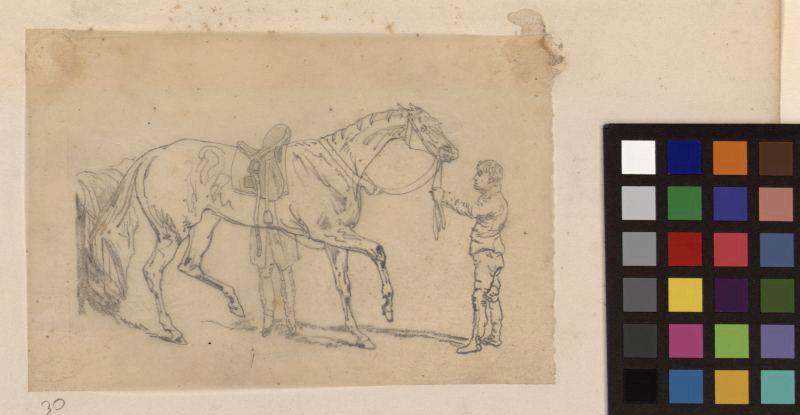 Un cheval de profil à droite, Thomas François Drake, 19e siècle