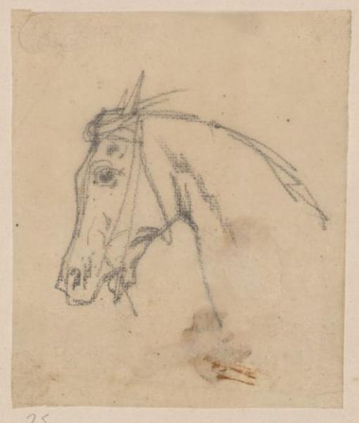 Tête de cheval de profil à gauche ., Thomas François Drake, 19e siècle