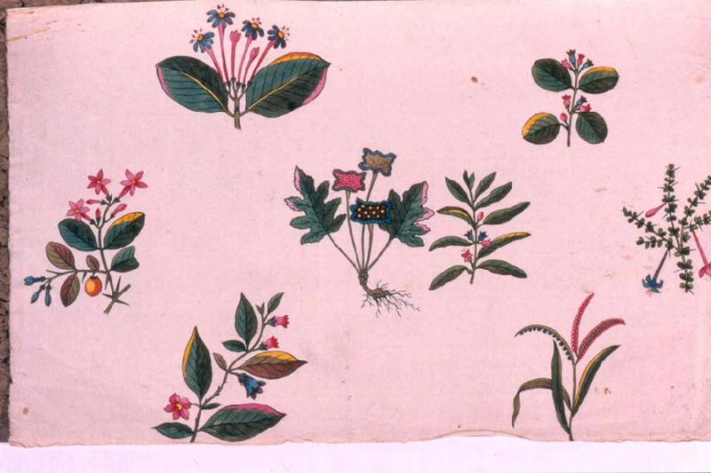 Modèle pour indienne : semis de fleurs, Peter, 4e quart 18e siècle