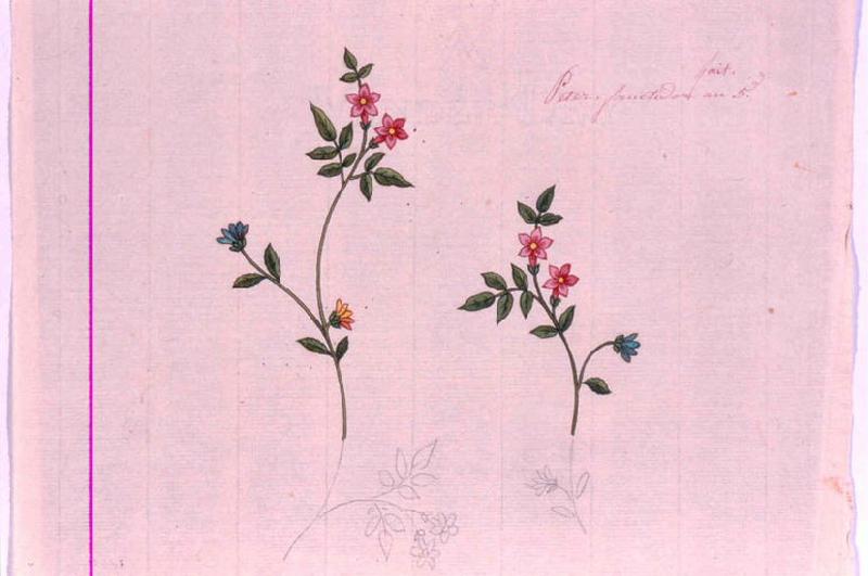 Modèle pour indienne : Deux fleurs, Peter, 1797