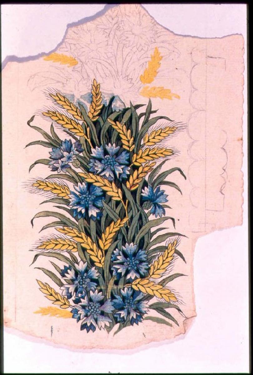 Modèle pour indienne : épis de blé et bleuets, Peter, 4e quart 18e siècle