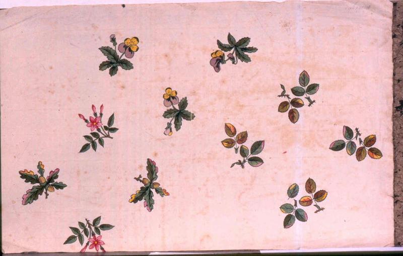 Modèle pour indienne : Motifs floraux, 18e siècle