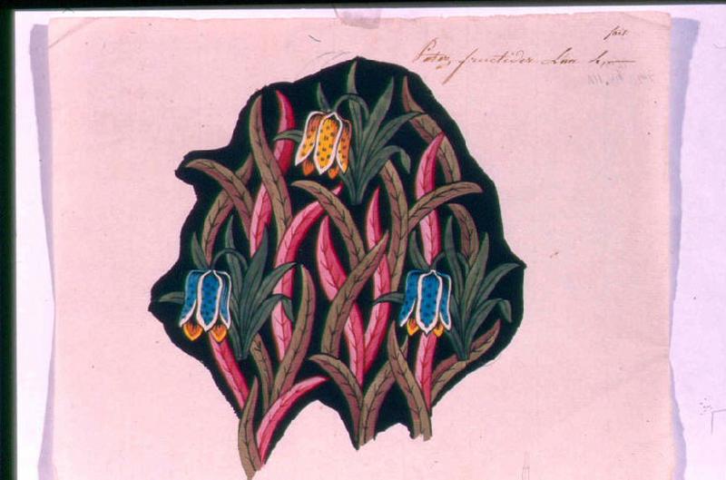 Modèle pour indienne : Motifs floraux, Peter, 1796