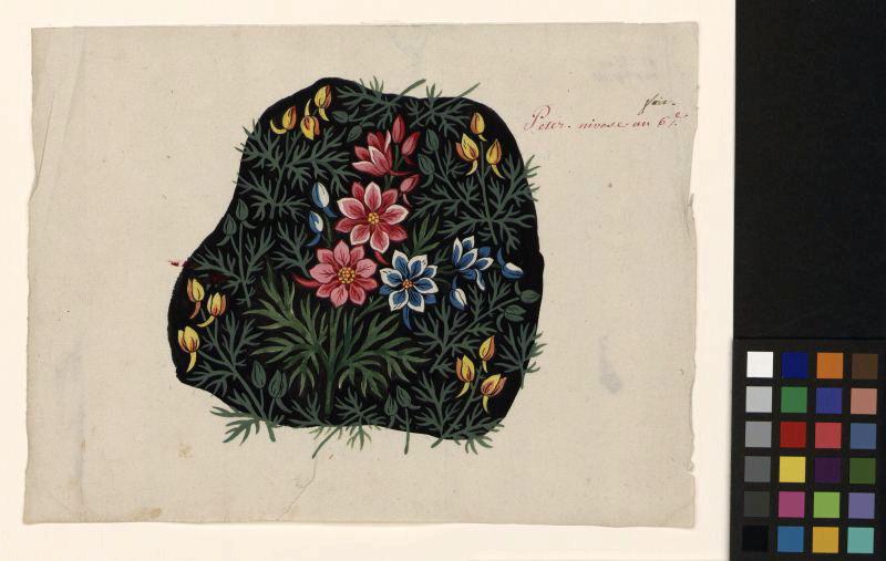 Modèle pour indienne : Motifs floraux, Peter, 1797