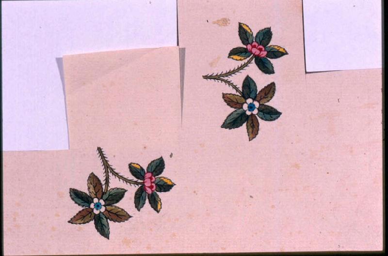 Modèle pour indienne : Motifs floraux, 18e siècle