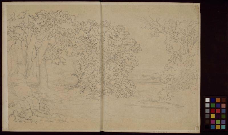 Paysage : arbres, Thomas François Drake, 19e siècle